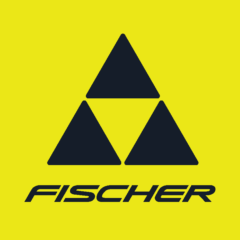 fi_main-logo_2c - Fischer Logo